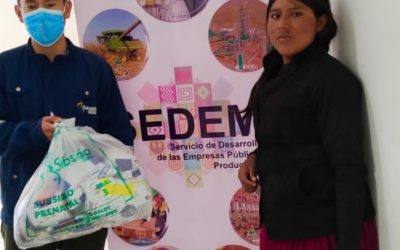 El Servicio de Desarrollo de las empresas públicas productivas SEDEM a través de sus brigadas móviles, llegó al municipio de AZURDUY y TARABUCO , del departamento de Chuquisaca para realizar la entrega de paquetes del Subsidio Universal Prenatal por la Vida.