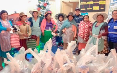 Brigadas Móviles llegan a Colquechaca – Potosí para entregar el Subsidio Universal Prenatal por la Vida
